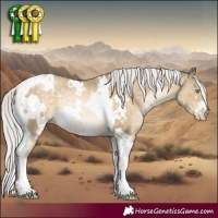 Horse Color:White Spotted Silver Buckskin Pearl Tobiano Rabicano