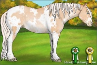 Horse Color:White Spotted Silver Buckskin Pearl Tobiano Rabicano 