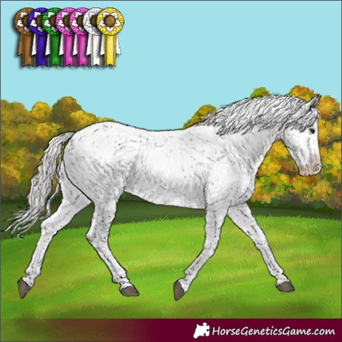 Horse Color:Silver Brown Sabino Varnish Rabicano
