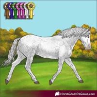 Horse Color:Silver Brown Sabino Varnish Rabicano