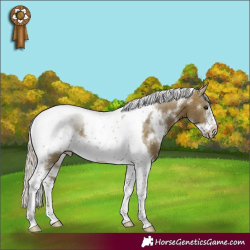Horse Color:White Spotted Silver Buckskin Dun Tobiano Frame 