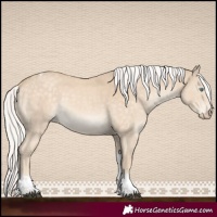 Horse Color:Silver Perlino Tobiano 