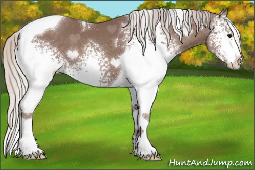 Horse Color:White Spotted Chocolate Silver Black Tobiano