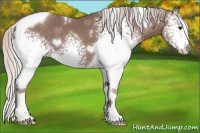 Horse Color:White Spotted Chocolate Silver Black Tobiano 