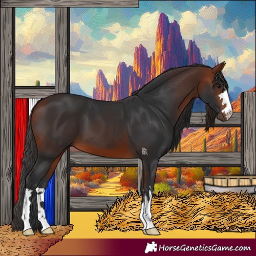 Horse Color:Bay 