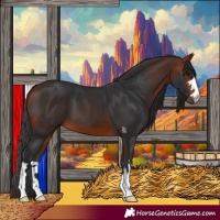 Horse Color:Bay 