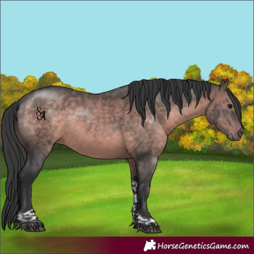 Horse Color:Platinum Brown Tobiano