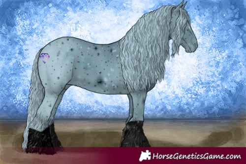 Horse Color:ERROR: UNKNOWN ANOMALY
