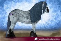 Horse Color:ERROR: UNKNOWN ANOMALY