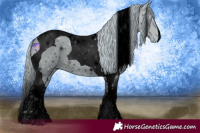 Horse Color:ERROR: UNKNOWN ANOMALY
