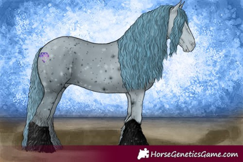 Horse Color:ERROR: UNKNOWN ANOMALY