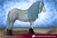 Horse Color:ERROR: UNKNOWN ANOMALY