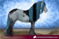 Horse Color:ERROR: UNKNOWN ANOMALY