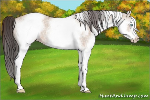 Horse Color:White Spotted Sable Champagne Dun Sabino