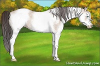 Horse Color:White Spotted Sable Champagne Dun Sabino 