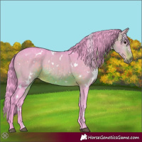 Horse Color:Watercolor White Spotted Brown Rabicano 