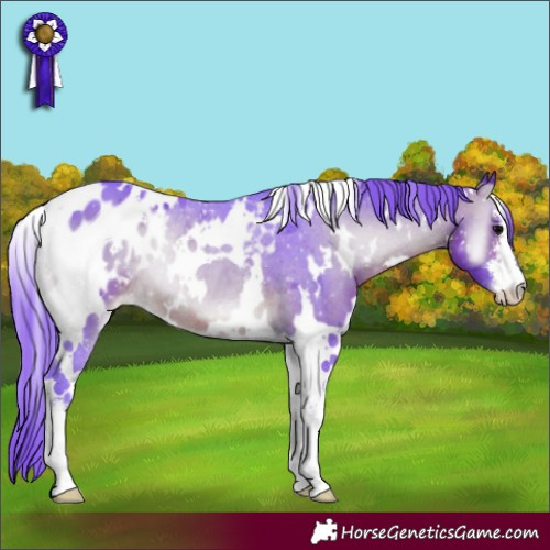 Horse Color:Watercolor White Spotted Brown Onyx Blanket