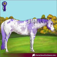 Horse Color:Watercolor White Spotted Brown Onyx Appaloosa 