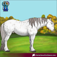 Horse Color:Platinum Liver Red Dun Pearl Near Leopard 