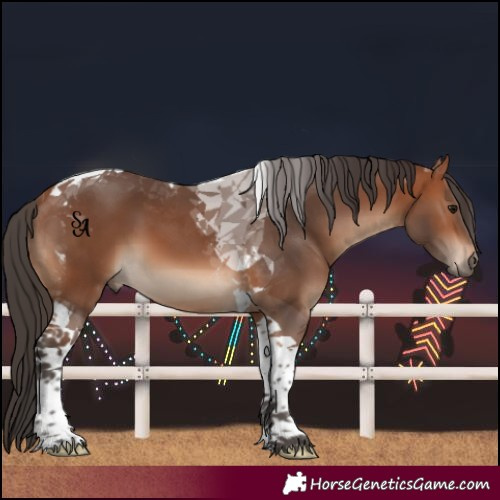 Horse Color:Bay Tobiano 