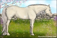 Horse Color:White Spotted Cremello Dun 