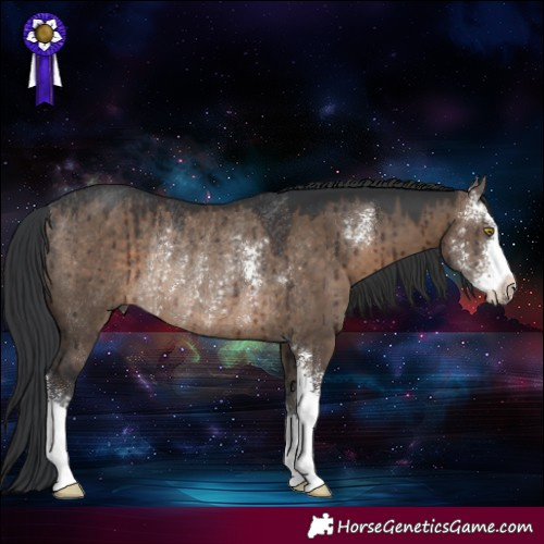 Horse Color:Brown Dun Sabino Rabicano Brindle 