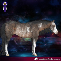 Horse Color:Brown Dun Sabino Rabicano Brindle 