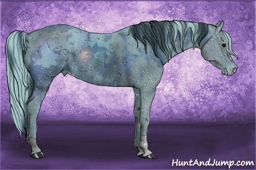Horse Color:ERROR: UNKNOWN ANOMALY and ERROR: UNKNOWN ANOMALY
