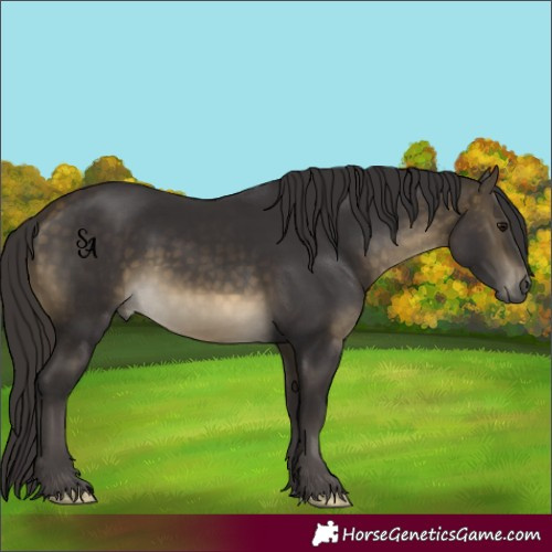 Horse Color:Buckskin 