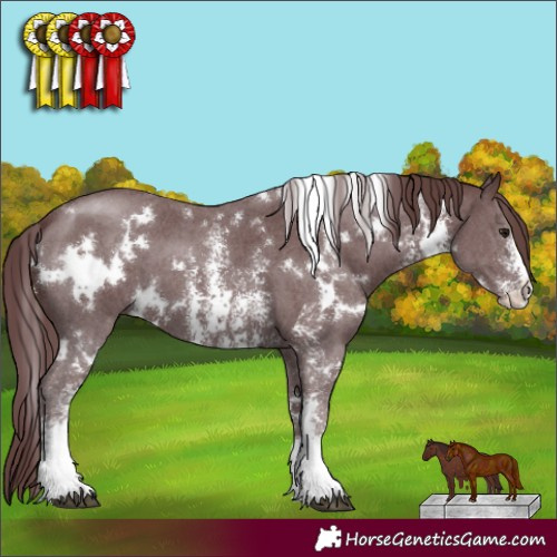 Horse Color:White Spotted Chocolate Black Sabino 
