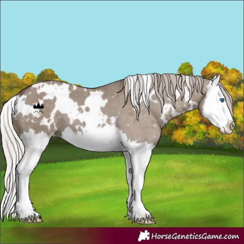 Horse Color:White Spotted Silver Grullo Splash 