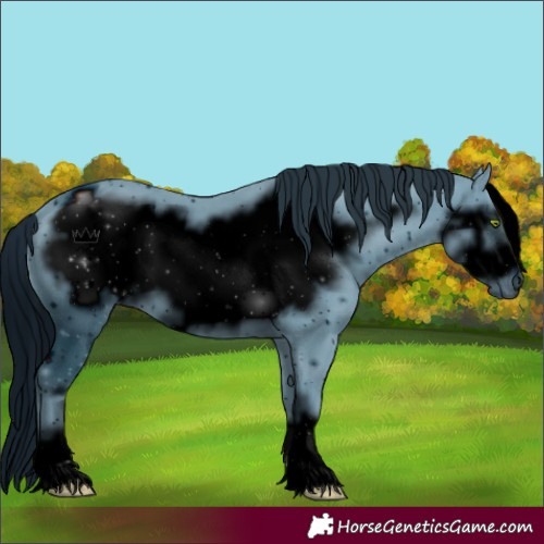 Horse Color:ERROR: UNKNOWN ANOMALY