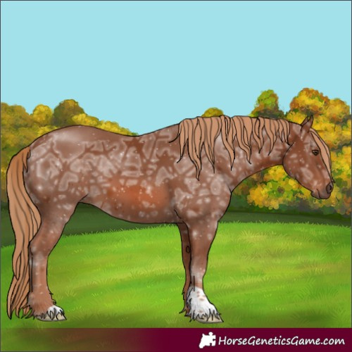 Horse Color:Chestnut Ice 