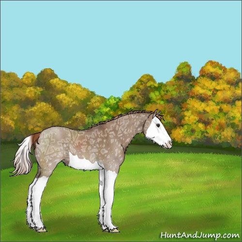 Horse Color:Liver Red Dun Ice Splash 