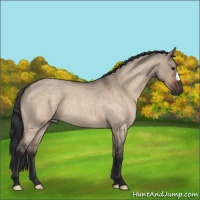 Horse Color:Brown Roan Dun 