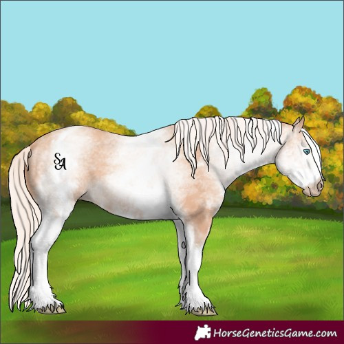 Horse Color:Gray White Spotted Cremello