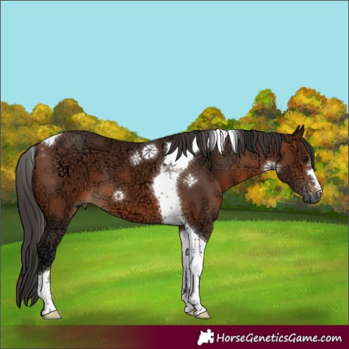 Horse Color:Bay Ice Tobiano