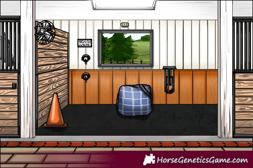 Horse Color:Platinum Grullo Tobiano 