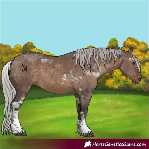 Horse Color:Silver Brown Dun Tobiano 