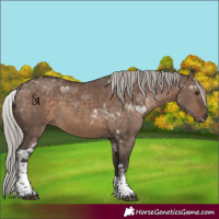 Horse Color:Silver Brown Dun Tobiano 