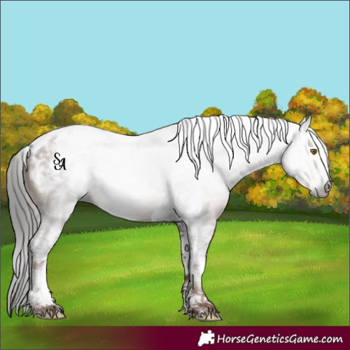 Horse Color:Gray Classic Champagne Tobiano Appaloosa 