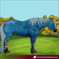 Horse Color:ERROR: UNKNOWN ANOMALY
