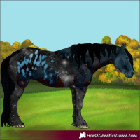 Horse Color:ERROR: UNKNOWN ANOMALY