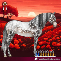 Horse Color:Brown Mushroom Tobiano Appaloosa Rabicano