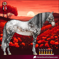 Horse Color:Brown Mushroom Tobiano Appaloosa Rabicano 