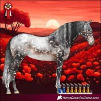 Horse Color:Brown Mushroom Tobiano Appaloosa Rabicano 