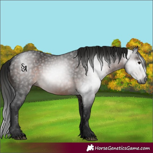 Horse Color:Gray Void Brown