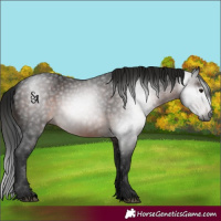 Horse Color:Gray Void Brown 