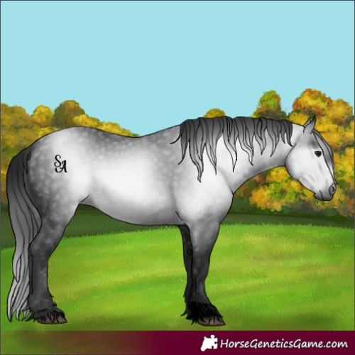 Horse Color:Gray Void Smoky Black 