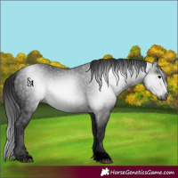 Horse Color:Gray Void Smoky Black 